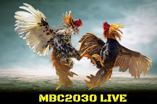 MBC2030 Live